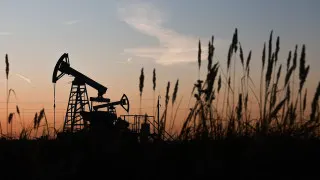 Доля нефтегазового сектора в российском ВВП в прошлом году снизилась до 13% — это минимум за все время наблюдений. На фоне санкций, ограничений добычи и слабой инвестиционной активности падали и доходы бюджета от нефти и газа, а прибыльность компаний отрасли резко сократилась.