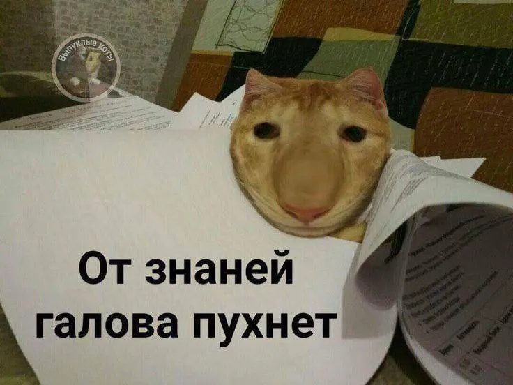 Минспорт планирует ввести тест по управлению небольшим дроном: в этом году — в пробном режиме, а со следующего года по всей стране можно будет получить за него знак ГТО, дающий до 10 баллов к результатам экзамена.