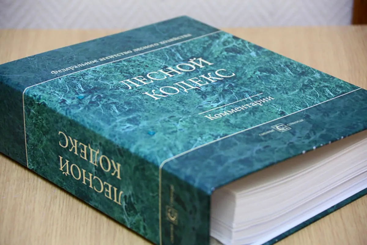 С 2006 года в Лесной кодекс внесено множество поправок — эксперт считает, что кодекс устарел и требует полной замены и упрощения.