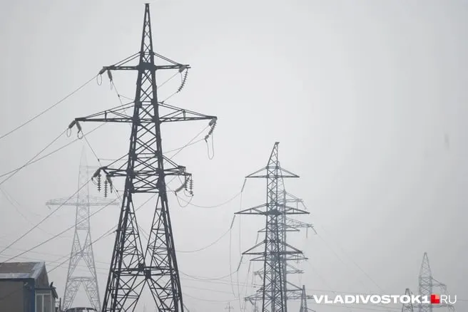 Минэкономразвития в утверждённом правительством прогнозе заложило ежегодную индексацию тарифов для жителей Приморья: с октября 2026 года рост начнётся с 11,3%, к 2029 году цена приблизится к 8 рублям за киловатт‑час.