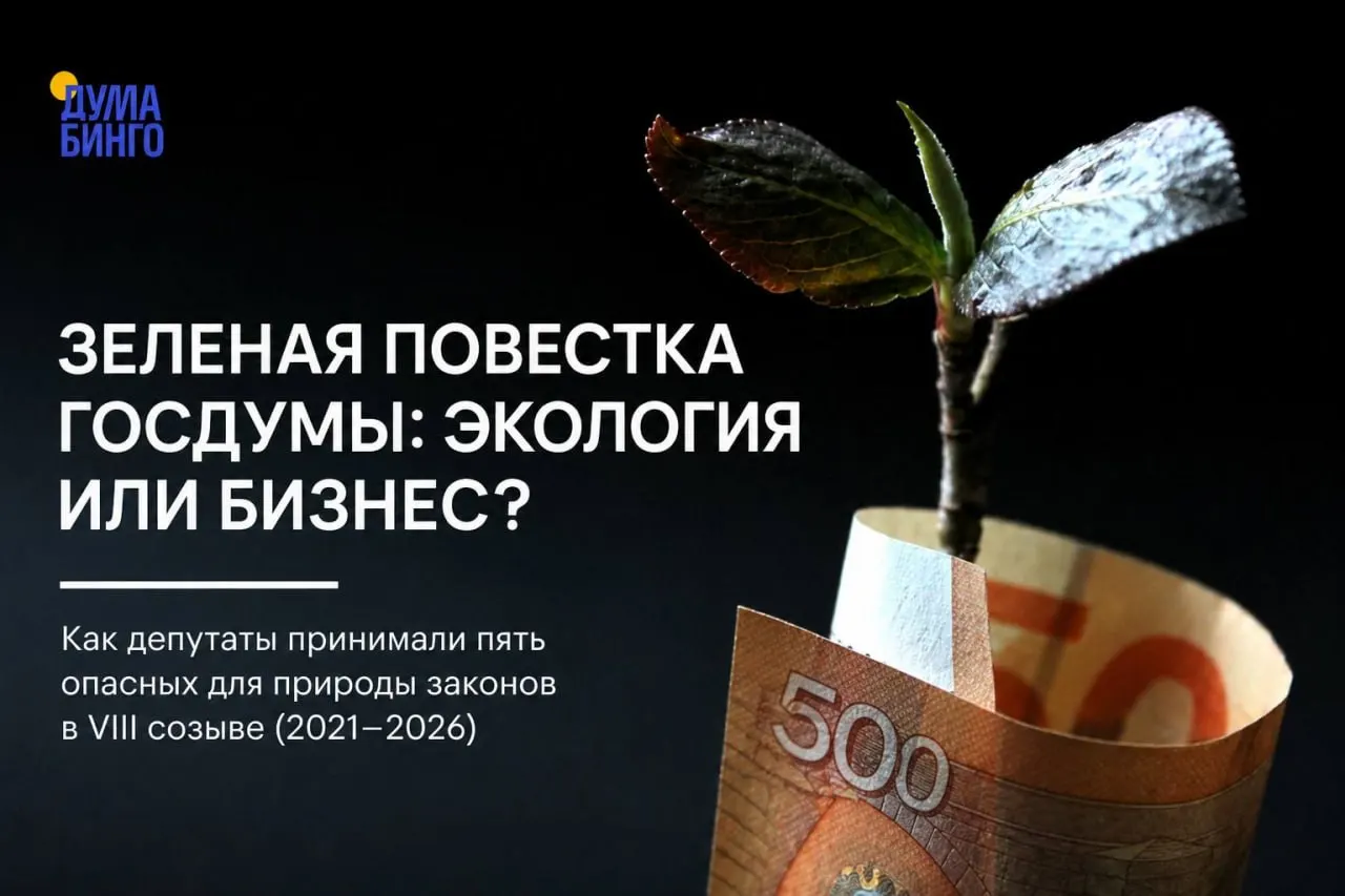 За последние годы в Госдуме были приняты ряд инициатив, которые критики считают ослаблением экологического законодательства: от ограничения общественного контроля до изменения статуса особо охраняемых территорий и правил добычи редких видов.