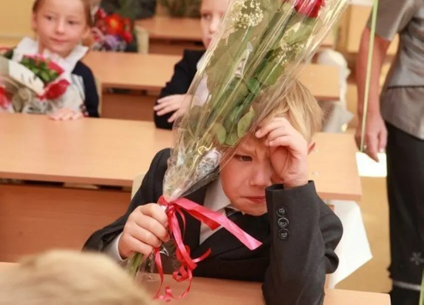 В Минпросвещения подтвердили, что оптимальной признана 11‑летняя модель школьного образования. Изменений сроков в ближайшее время не планируют; все стандарты будут строиться с расчётом на 11 классов.