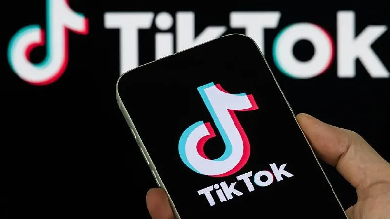 Платформу наказали после проверки: в двух роликах усмотрели «пропаганду нетрадиционных сексуальных отношений».