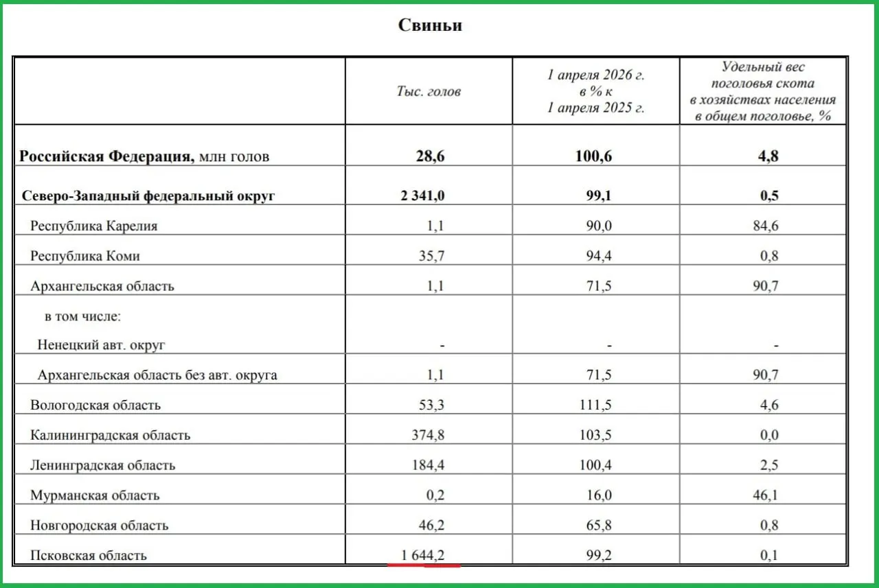 В регионе насчитали 1 млн 644 тыс. свиней — около 70% от общего поголовья в СЗФО, где всего 2 млн 341 тыс. голов.