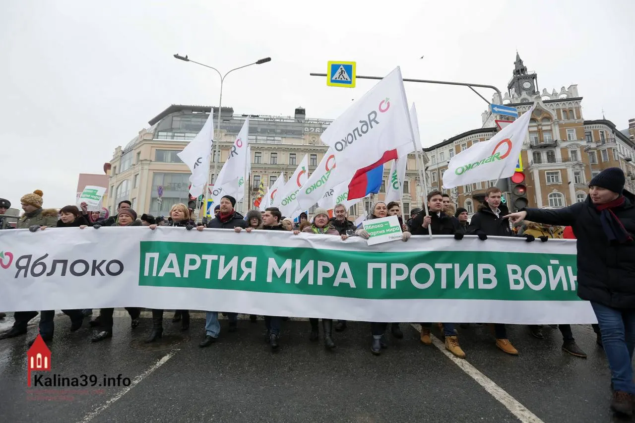 Регистрация федерального списка «Яблока» даёт редкую легальную возможность для демонстрации антивоенной позиции: власти, по оценкам экспертов, могли позволить партии участвовать, чтобы канализировать протест, при этом многие известные кандидаты были отстранены.