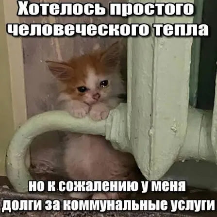Верховный суд постановил, что задолженность по взносам на капитальный ремонт старше трёх лет нельзя включать в жилищные квитанции — в распоряжении сыграл срок исковой давности по ГК РФ, который защищает должников от принудительного взыскания.