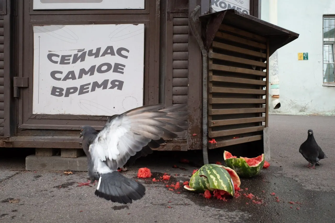 В Петербурге штраф за антивоенное высказывание священника и панихиды в День памяти Большого террора, а также ключевые политические новости в России и за её пределами.