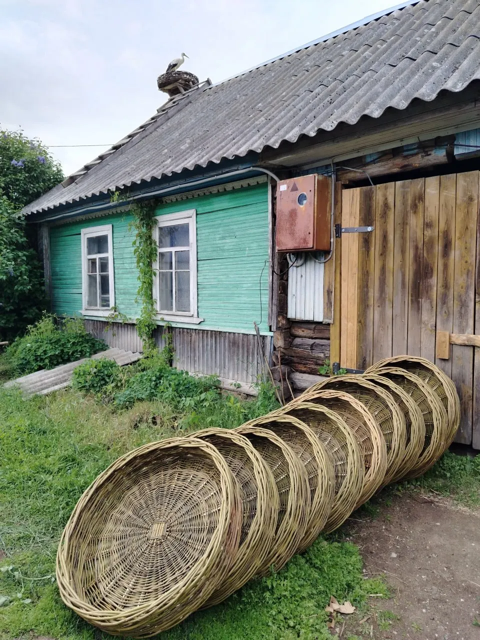 Региональная благотворительная кампания завершила месяц с впечатляющей суммой и переходом к оформлению документов на участок и дом в деревне Низовицы.