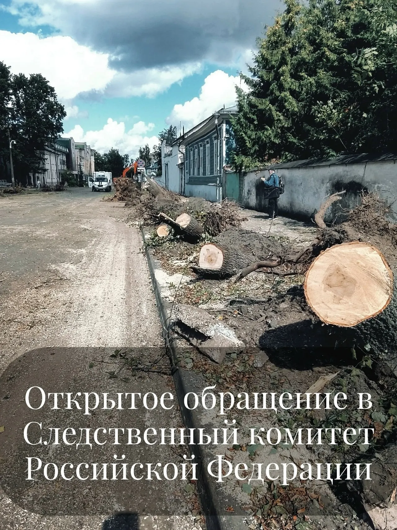 Житель Пскова запросил проведение проверки действий должностных лиц администрации города в связи с массовой вырубкой зелёных насаждений.