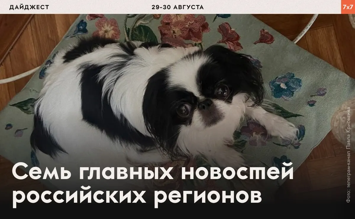 Сводка последних региональных историй: аресты и давление на активистов, запреты на агитацию и региональные ограничения по всей стране.
