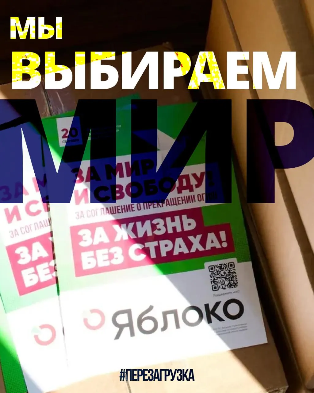Кампания за федеральный список партии идёт по регионам; действует единая карта страны, на которой можно найти кандидатов, выступающих за мир и свободу.