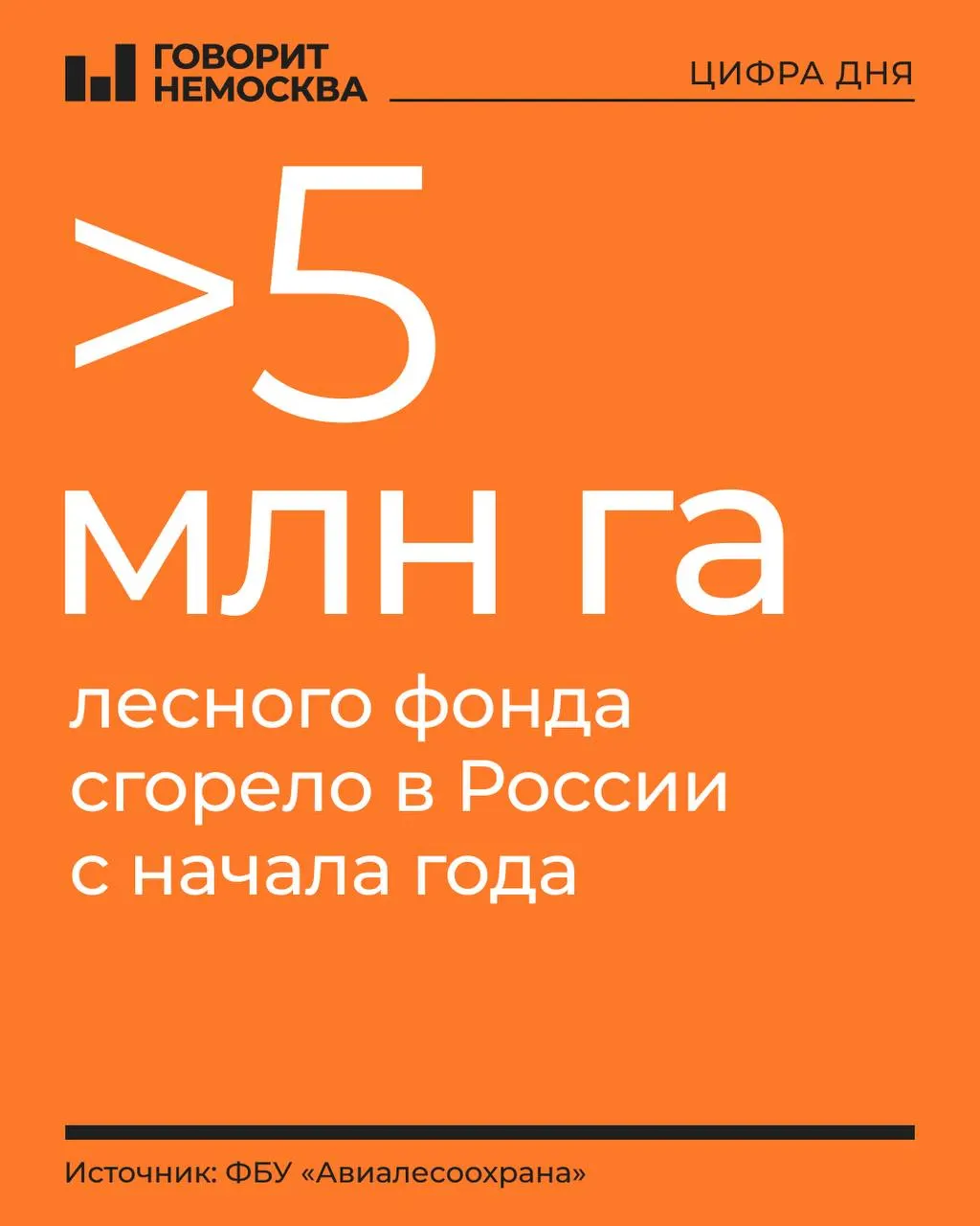 Площадь лесных возгораний в России достигла масштабов небольшой европейской страны: за год зафиксировано почти восемь тысяч пожаров и область поражения приближается к пяти миллионам гектаров.
