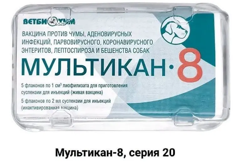 После вакцинации собак вакциной Мультикан-8 в нескольких регионах погибло более ста животных; владельцы требуют независимого анализа вакцины и расследования.