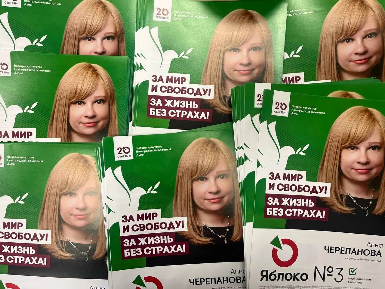 Кандидатка в областную думу Анна Черепанова рискует лишиться участия в выборах после штрафа за демонстрацию символики; партия требует проверки действий судей и должностных лиц.