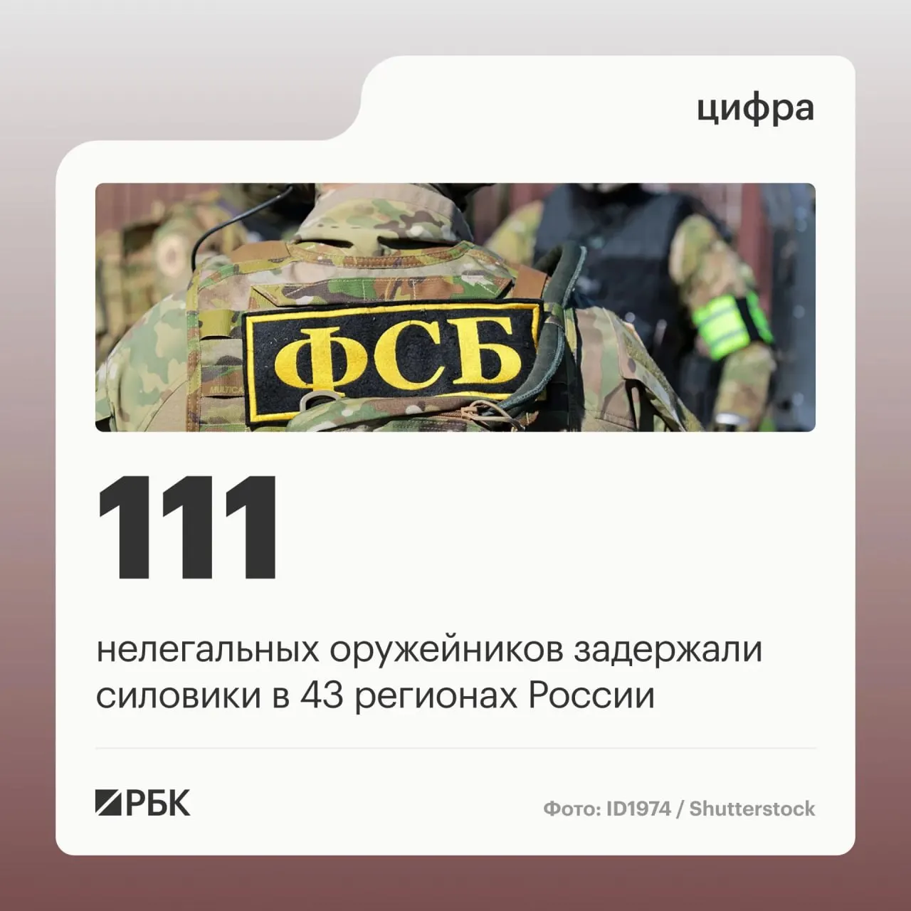 Задержанные подозреваются в восстановлении боевых свойств гражданского оружия в подпольных мастерских и его продаже; операции привели к закрытию 37 подпольных мастерских.