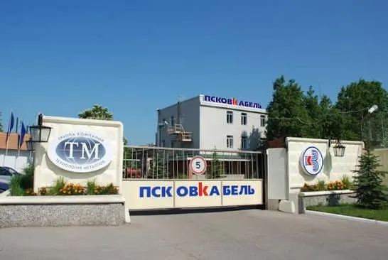 Бывшие территории завода Псковкабель на улице Алмазной могут быть переданы под жилищное застройку. В 2018 году предприятие признали банкротом; активы приобрели структуры AKRON HOLDING, аффилированного с Ростехом. Рядом расположен офис застройщика SKANDINAVIA.