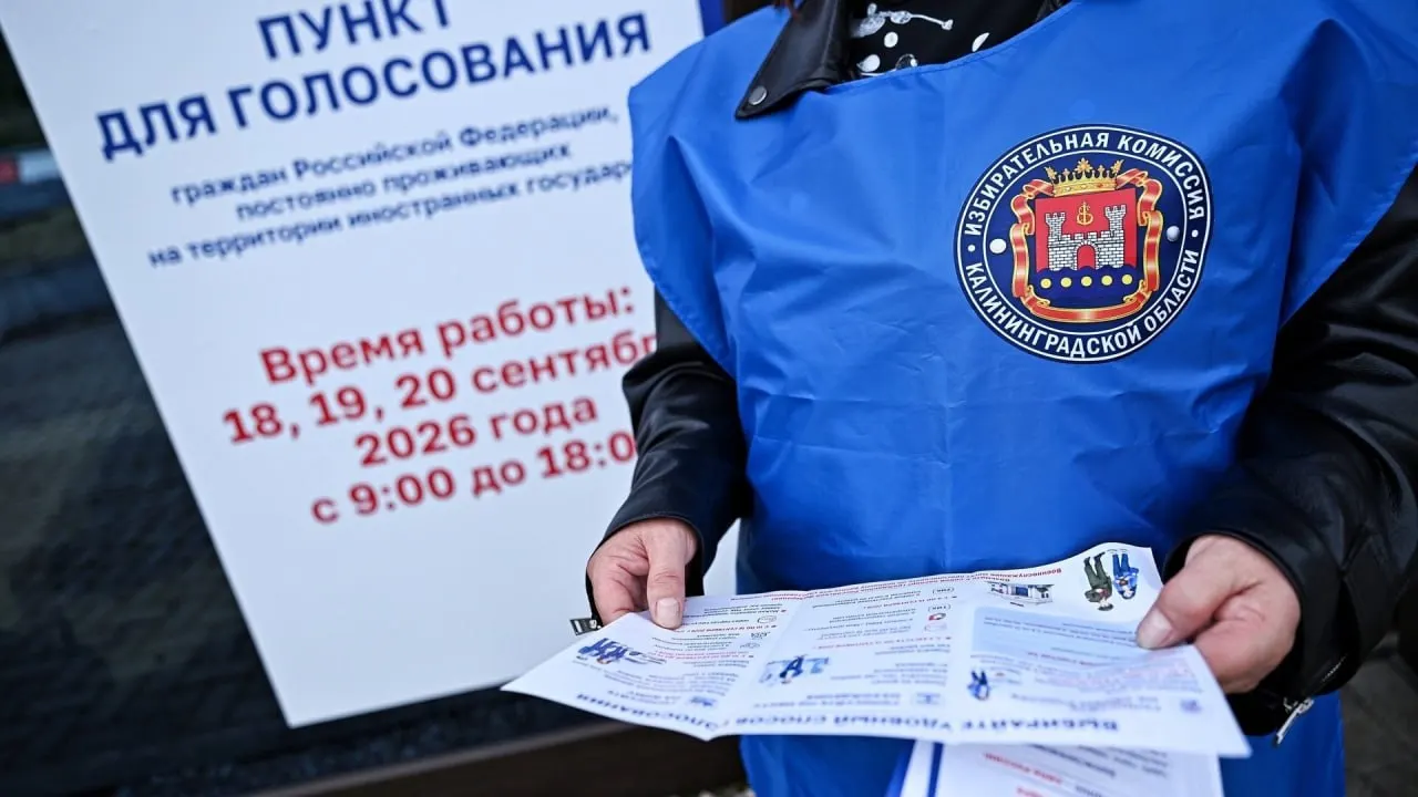 По данным ЦИК, на пограничные участки пришло 1 803 россиянина. Всего в выборах за рубежом приняли участие 5 268 граждан России; избирательные участки были открыты в Ленинградской и Псковской областях.