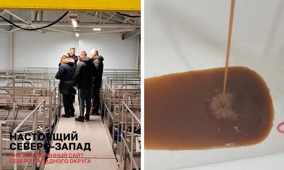 Доля жителей Карелии, имеющих доступ к качественной воде, снижается, а изношенные трубы и перегрузка очистных сооружений остаются основными причинами проблем с водоснабжением региона.
